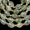 Natural Prehnite Beads Strands G-F809-A06-01-4