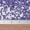 MIYUKI Delica Beads SEED-JP0008-DB1569-2