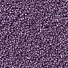 MIYUKI Delica Beads SEED-X0054-DB1173-3