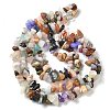 Natural & Synthetic Gemstone Chip Bead Strands G-M205-21-6
