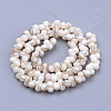 Natural Freshwater Shell Beads Strands X-SHEL-Q015-01-2