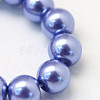 Baking Paint Pearlized Glass Pearl Round Bead Strands X-HY-Q003-4mm-09-3