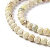 Natural Imperial Jasper Beads Strands G-L578-A07-2