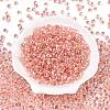 6/0 Baking Paint Transparent Fringe Glass Seed Beads X1-SEED-N006-06E-2