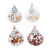 Natural Scallop Shell & Resin Flower & ABS Plastic Imitation Pearl Bowknot Pendants PALLOY-JF03891-1