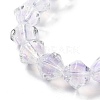 Handmade Lampwork Beads Strands LAMP-Q036-03C-3