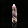 Point Tower Natural Amethyst Home Display Decoration PW23030656495-1