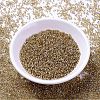 MIYUKI Delica Beads SEED-J020-DB2155-2