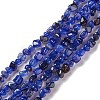 Natural Agate Beads Strands G-F745-07-1