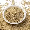 MIYUKI Round Rocailles Beads SEED-X0055-RR0442-2