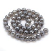 Natural Grey Agate Beads Strands G-P385-02-10mm-2