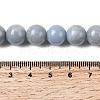 Natural Angelite Beads Strands G-G840-03-10mm-5
