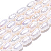 Natural Cultured Freshwater Pearl Beads Strands PEAR-N012-04N-4