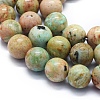 Natural Peruvian Turquoise(Jasper) Beads Strands G-E561-11-8mm-AB-3