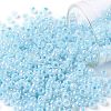 TOHO Round Seed Beads SEED-XTR08-0919-1