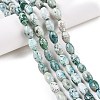 Natural Agate Beads Strands G-T138-180J-1