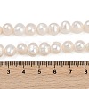 Natural Cultured Freshwater Pearl Beads Strands PEAR-I007-07J-02A-5