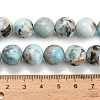 Natural Larimar Beads Strands G-L642-B19-12mm-5