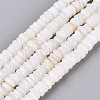 Natural Freshwater Shell Beads Strands SHEL-Q028-01A-1