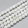 Natural Rainbow Moonstone Beads Strands G-G792-34A-1