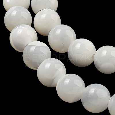 Natural Sea Shell Beads Strands SSHEL-K013-5.5mm-A-1
