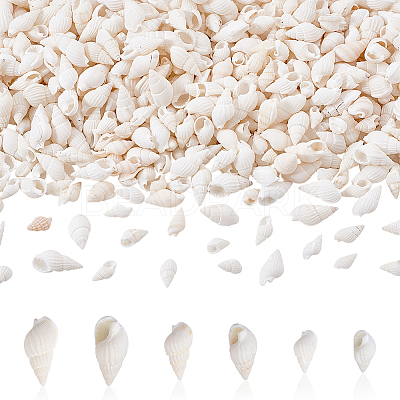 450Pcs 3 Styles Natural Spiral Shell Beads BSHE-GA0001-03-1