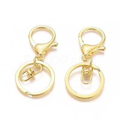 Iron Alloy Lobster Claw Clasp Keychain X-KEYC-D016-G-1