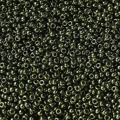 MIYUKI Round Rocailles Beads X-SEED-G007-RR0306-1
