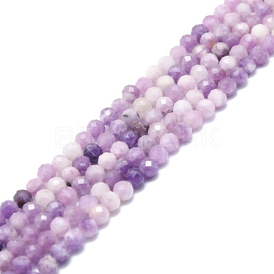 Natural Lepidolite/Purple Mica Stone Beads Strands G-P457-A04-01-1