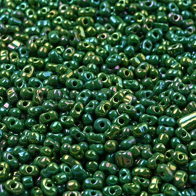 Glass Seed Beads SEED-K009-09A-01-1