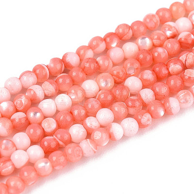 Dyed Natural Trochid Shell/Trochus Shell Beads Strands SSHEL-T017-13D-1