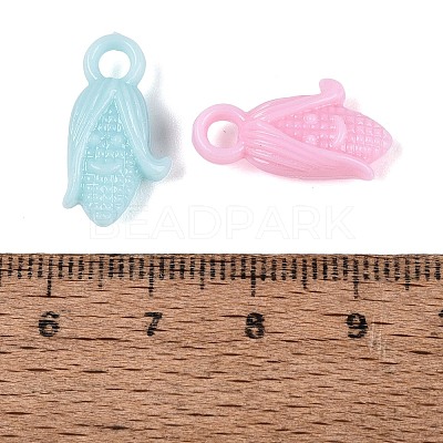 Opaque Plastic Pendants KY-Q010-01-1