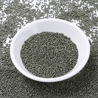 MIYUKI Delica Beads X-SEED-J020-DB1186-1