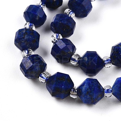 Natural Lapis Lazuli Beads Strands G-O201B-25-1-1