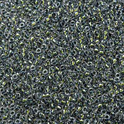 MIYUKI Round Rocailles Beads X-SEED-G008-RR3201-1