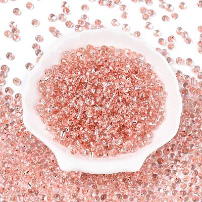 6/0 Baking Paint Transparent Fringe Glass Seed Beads X1-SEED-N006-06E-1
