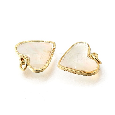 Natural White Shell & Epoxy Resin Charms KK-E794-02G-04-1
