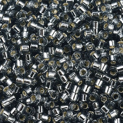 MIYUKI Delica Beads X-SEED-J020-DB0048-1