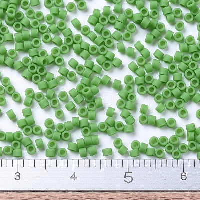 MIYUKI Delica Beads X-SEED-J020-DB0754-1