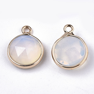 Opalite Charms G-N326-49G-1