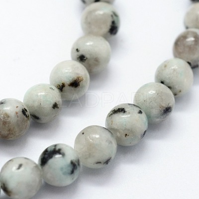Natural Sesame Jasper/Kiwi Jasper Beads Strands G-I199-29-4mm-1