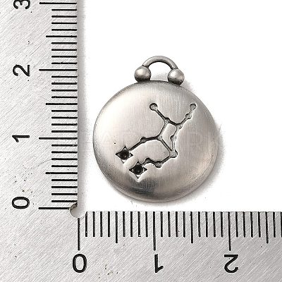 304 Stainless Steel Pendants STAS-L022-306AS-06-1