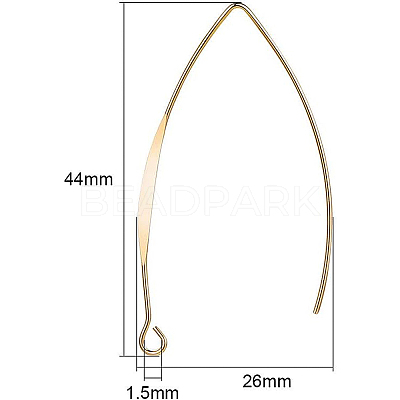 Brass Earring Hooks KK-BC0003-75G-1