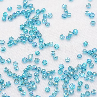 6/0 Round Glass Seed Beads X-SEED-J011-F6-179-1