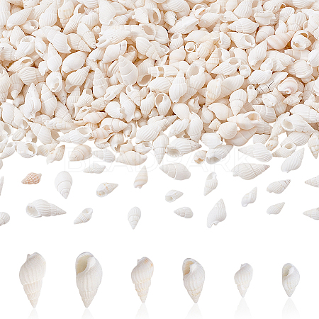450Pcs 3 Styles Natural Spiral Shell Beads BSHE-GA0001-03-1