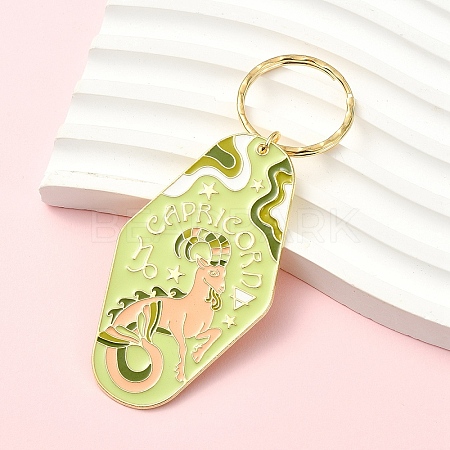 Alloy Enamel Keychains KEYC-YW00224-03-1