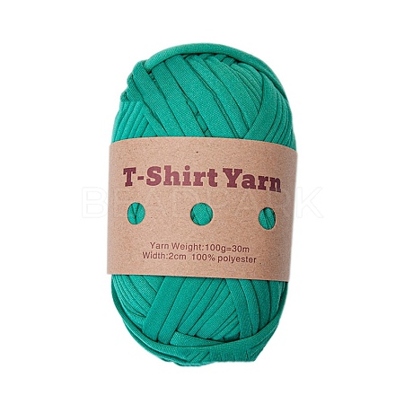 1 Skein Polyester Cloth Yarn AJEW-SZ0002-67I-1