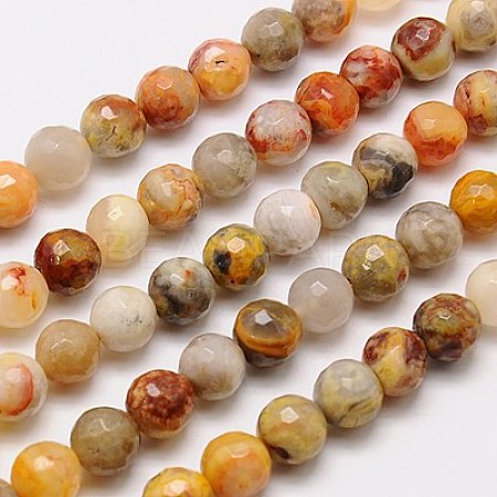 Natural Crazy Lace Agate Beads Strands G-G542-8mm-10-1