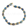 Electroplated Natural Druzy Geode Crystal Beads Strands G-G459-03B-07-2