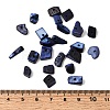 Dyed Natural Freshwater Shell Chips Beads X-SHEL-O001-12C-4